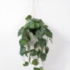 Artificial Plant 50*82CM Anthurium in pp pot with rope Hanging plant GS-14521058 Potted Flowers&Plants YeahFlower is one of Chinese leading OEM manufacturers and exporters , supplying the silk flowers, wholesale artificial trees