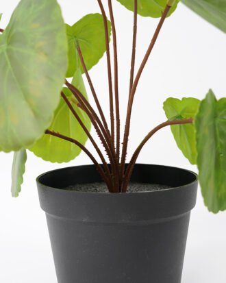 Artificial Plant 24*28CM Begonia Leaves in pp pot fake plant GS-14521024 Potted Flowers&Plants YeahFlower is one of Chinese leading OEM manufacturers and exporters , supplying the silk flowers, wholesale artificial trees