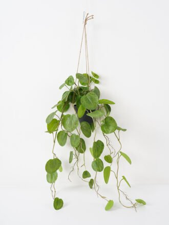 Artificial Plant 52*88CM Leaves spray fake plant GS-14521036 Leaves&Sprays&Foliages 3,000+ sqm showroom with thousands of artificial flowers, plants & trees ready for global sourcing.