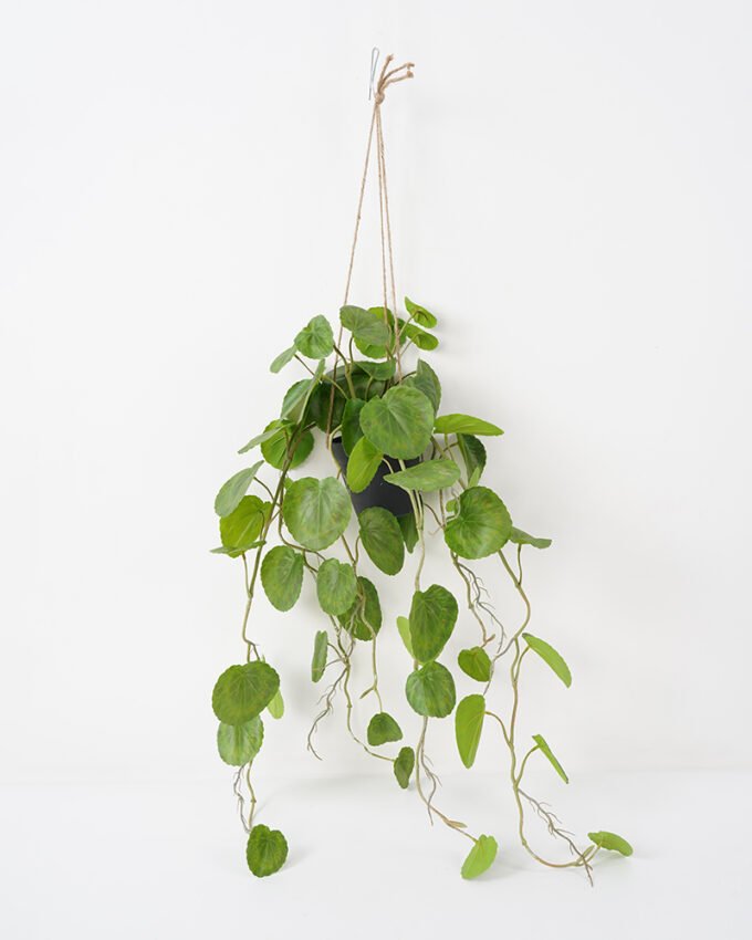 Artificial Plant 40*78CM Begonia Leaves in pp pot with rope Hanging plant GS-14521023 Leaves&Sprays&Foliages YeahFlower is one of Chinese leading OEM manufacturers and exporters , supplying the silk flowers, wholesale artificial trees