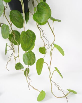 Artificial Plant 40*78CM Begonia Leaves in pp pot with rope Hanging plant GS-14521023 Leaves&Sprays&Foliages YeahFlower is one of Chinese leading OEM manufacturers and exporters , supplying the silk flowers, wholesale artificial trees