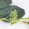 Artificial Plant 25*90CM Eucalyptus spray green fake leaf GS-26221015 Leaves&Sprays&Foliages YeahFlower is one of Chinese leading OEM manufacturers and exporters , supplying the silk flowers, wholesale artificial trees