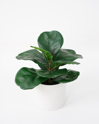 Artificial Plant 20*18*21CM Ficus in minami pot fake plant GS-14521037 Potted Flowers&Plants YeahFlower is one of Chinese leading OEM manufacturers and exporters , supplying the silk flowers, wholesale artificial trees