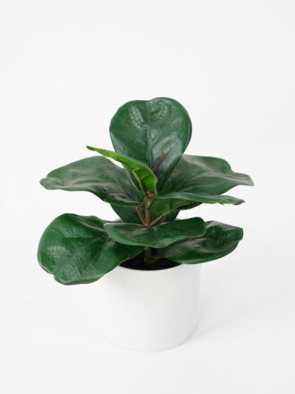 Artificial Plant 26*26CM Leaves in pp pot fake plant GS-14521033 Potted Flowers&Plants 3,000+ sqm showroom with thousands of artificial flowers, plants & trees ready for global sourcing.