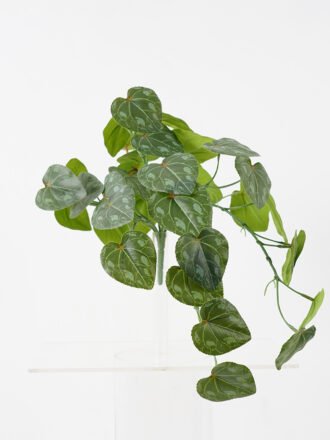 Artificial Plant 22*27CM Leaves in pp pot fake plant GS-14521027 Potted Flowers&Plants 3,000+ sqm showroom with thousands of artificial flowers, plants & trees ready for global sourcing.