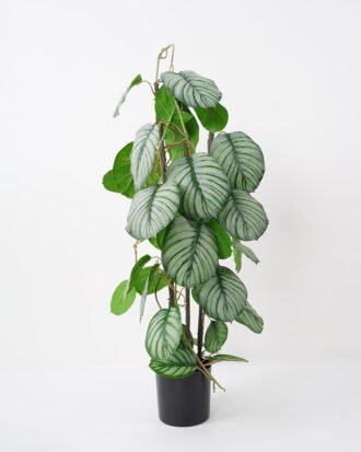 Artificial Plant 30*36*80CM Leaves in pp pot Bonsai plant GS-14521064 Potted Flowers&Plants YeahFlower is one of Chinese leading OEM manufacturers and exporters , supplying the silk flowers, wholesale artificial trees