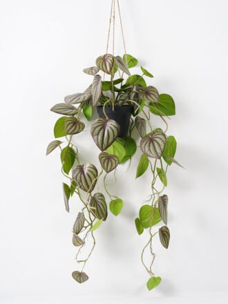 Artificial Plant 18*26CM Leaves in pp pot fake plant GS-14521019 Potted Flowers&Plants 3,000+ sqm showroom with thousands of artificial flowers, plants & trees ready for global sourcing.