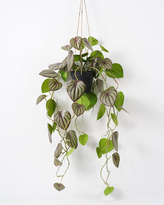 Artificial Plant 50*80CM Leaves in pp pot Hanging plant GS-14521020 Potted Flowers&Plants YeahFlower is one of Chinese leading OEM manufacturers and exporters , supplying the silk flowers, wholesale artificial trees