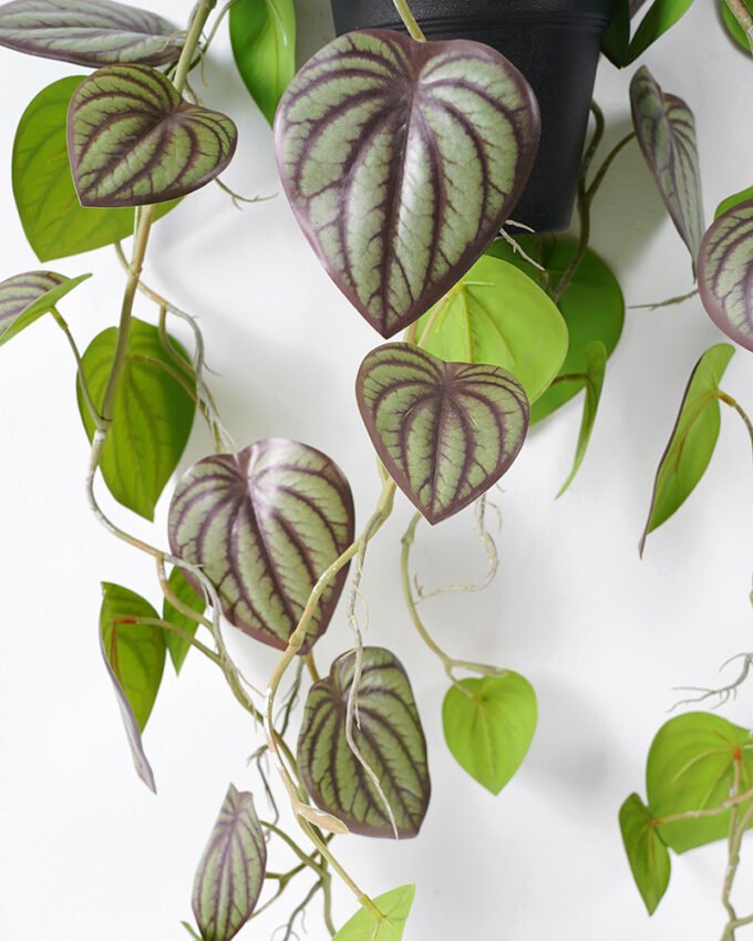 Artificial Plant 50*80CM Leaves in pp pot Hanging plant GS-14521020 Potted Flowers&Plants YeahFlower is one of Chinese leading OEM manufacturers and exporters , supplying the silk flowers, wholesale artificial trees