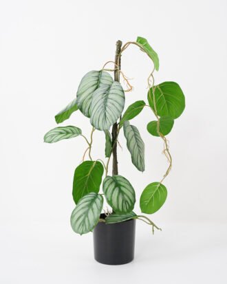 Artificial Plant 30*32*61CM Leaves in pp pot Ornamental plants GS-14521056 Potted Flowers&Plants YeahFlower is one of Chinese leading OEM manufacturers and exporters , supplying the silk flowers, wholesale artificial trees