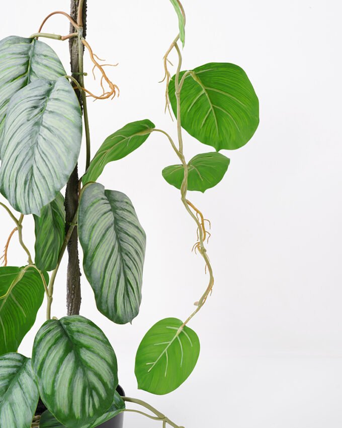 Artificial Plant 30*32*61CM Leaves in pp pot Ornamental plants GS-14521056 Potted Flowers&Plants YeahFlower is one of Chinese leading OEM manufacturers and exporters , supplying the silk flowers, wholesale artificial trees