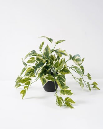 Artificial Plant 52*50*30CM  Leaves in pp pot Split Leaf GS-14521052 Potted Flowers&Plants YeahFlower is one of Chinese leading OEM manufacturers and exporters , supplying the silk flowers, wholesale artificial trees