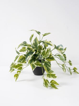 Artificial Plant Leaves in pp pot Hanging plant GS-14521049 Potted Flowers&Plants 3,000+ sqm showroom with thousands of artificial flowers, plants & trees ready for global sourcing.