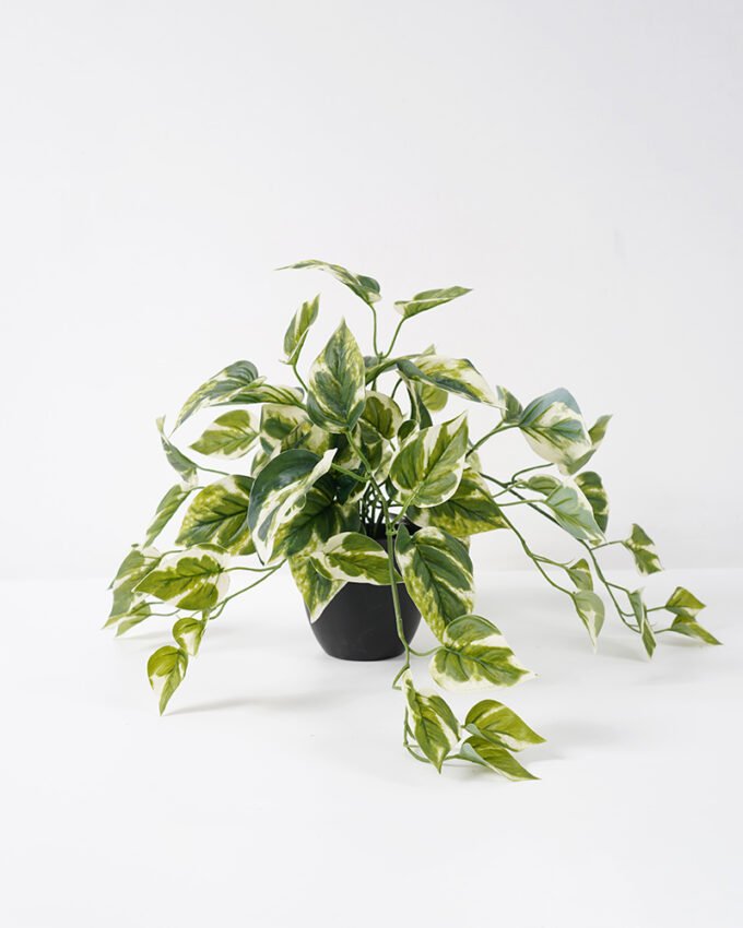 Artificial Plant 52*50*30CM  Leaves in pp pot Split Leaf GS-14521052 Potted Flowers&Plants YeahFlower is one of Chinese leading OEM manufacturers and exporters , supplying the silk flowers, wholesale artificial trees