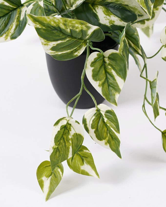 Artificial Plant 52*50*30CM  Leaves in pp pot Split Leaf GS-14521052 Potted Flowers&Plants YeahFlower is one of Chinese leading OEM manufacturers and exporters , supplying the silk flowers, wholesale artificial trees