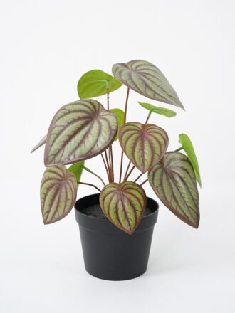 Artificial Plant 50*80CM Leaves in pp pot Hanging plant GS-14521020 Potted Flowers&Plants 3,000+ sqm showroom with thousands of artificial flowers, plants & trees ready for global sourcing.