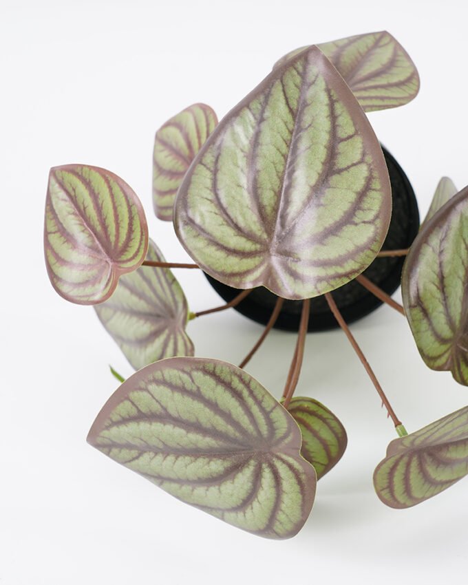 Artificial Plant 18*26CM Leaves in pp pot fake plant GS-14521019 Potted Flowers&Plants YeahFlower is one of Chinese leading OEM manufacturers and exporters , supplying the silk flowers, wholesale artificial trees