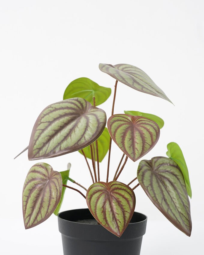 Artificial Plant 18*26CM Leaves in pp pot fake plant GS-14521019 Potted Flowers&Plants YeahFlower is one of Chinese leading OEM manufacturers and exporters , supplying the silk flowers, wholesale artificial trees