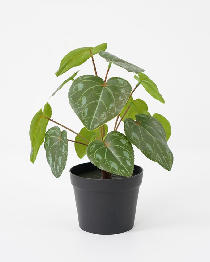 Artificial Plant 22*27CM Leaves in pp pot fake plant GS-14521027 Potted Flowers&Plants YeahFlower is one of Chinese leading OEM manufacturers and exporters , supplying the silk flowers, wholesale artificial trees