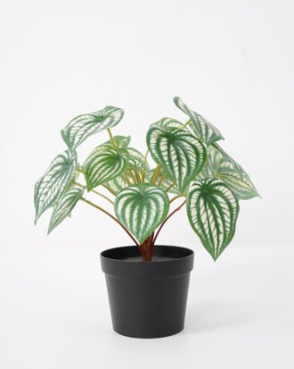 Artificial Plant 26*26CM Leaves in pp pot fake plant GS-14521033 Potted Flowers&Plants YeahFlower is one of Chinese leading OEM manufacturers and exporters , supplying the silk flowers, wholesale artificial trees