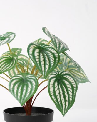 Artificial Plant 26*26CM Leaves in pp pot fake plant GS-14521033 Potted Flowers&Plants YeahFlower is one of Chinese leading OEM manufacturers and exporters , supplying the silk flowers, wholesale artificial trees