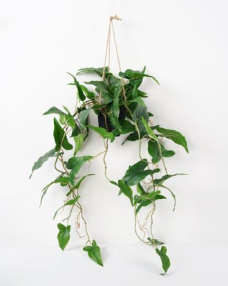 Artificial Plant 55*84CM Leaves in pp pot with rope Hanging plant GS-14521061 Potted Flowers&Plants YeahFlower is one of Chinese leading OEM manufacturers and exporters , supplying the silk flowers, wholesale artificial trees