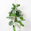 Artificial Plant 65*92CM Leaves in pp pot with rope Hanging plant GS-14521062 Potted Flowers&Plants YeahFlower is one of Chinese leading OEM manufacturers and exporters , supplying the silk flowers, wholesale artificial trees