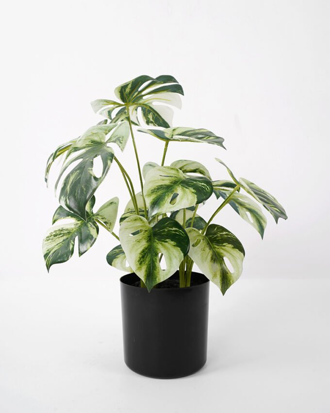 Artificial Plant 36*30*36CM Monstera in pp pot/lvs15 silk flowers GS-14521044 Potted Flowers&Plants YeahFlower is one of Chinese leading OEM manufacturers and exporters , supplying the silk flowers, wholesale artificial trees