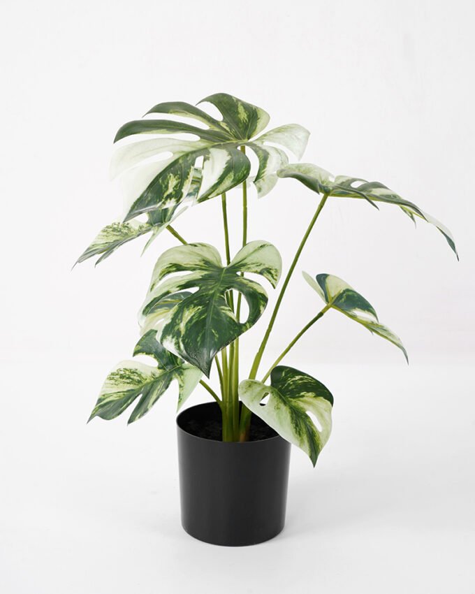 Artificial Plant 28*25*35CM Monstera in pp pot/lvs9 silk flowers GS-14521045 Potted Flowers&Plants YeahFlower is one of Chinese leading OEM manufacturers and exporters , supplying the silk flowers, wholesale artificial trees