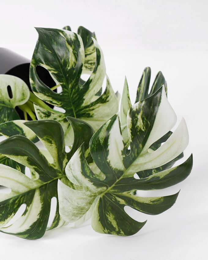 Artificial Plant 28*25*35CM Monstera in pp pot/lvs9 silk flowers GS-14521045 Potted Flowers&Plants YeahFlower is one of Chinese leading OEM manufacturers and exporters , supplying the silk flowers, wholesale artificial trees