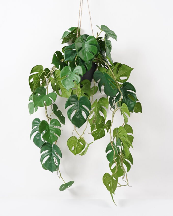 Artificial Plant 60*82CM Monstera in pp pot with rope Hanging plant GS-14521047 Potted Flowers&Plants YeahFlower is one of Chinese leading OEM manufacturers and exporters , supplying the silk flowers, wholesale artificial trees