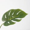 Artificial Plant 42*63CM Monstera spray green fake leaf GS-06021009 Leaves&Sprays&Foliages YeahFlower is one of Chinese leading OEM manufacturers and exporters , supplying the silk flowers, wholesale artificial trees