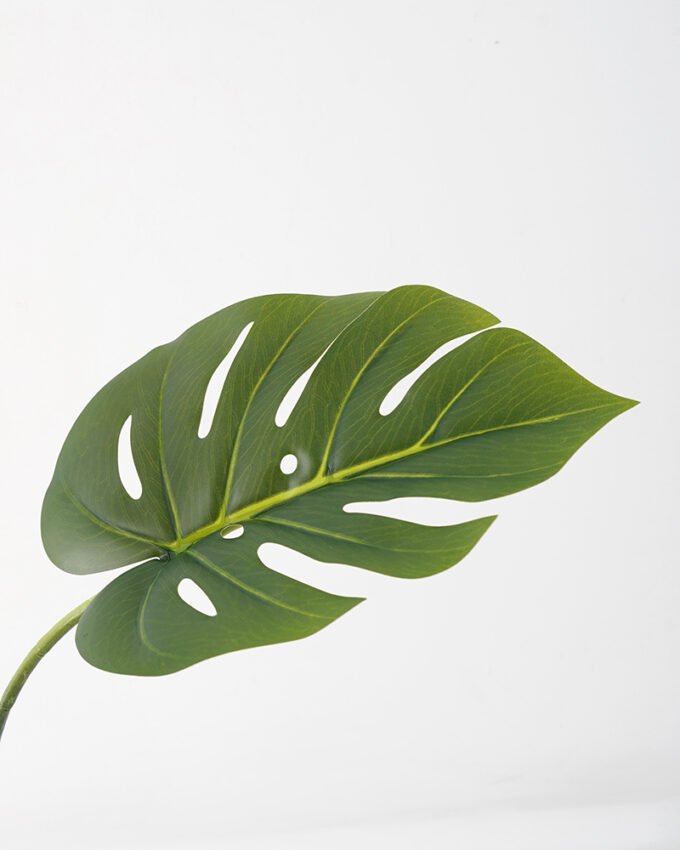 Artificial Plant 42*63CM Monstera spray green fake leaf GS-06021009 Leaves&Sprays&Foliages YeahFlower is one of Chinese leading OEM manufacturers and exporters , supplying the silk flowers, wholesale artificial trees