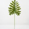 Artificial Plant 20*58CM Singel scindapsus green fake leaf GS-06021005 Leaves&Sprays&Foliages YeahFlower is one of Chinese leading OEM manufacturers and exporters , supplying the silk flowers, wholesale artificial trees