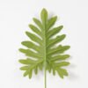 Artificial Plant 20*58CM Singel scindapsus green fake leaf GS-06021005 Leaves&Sprays&Foliages YeahFlower is one of Chinese leading OEM manufacturers and exporters , supplying the silk flowers, wholesale artificial trees