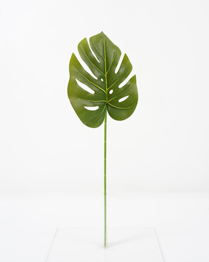 Artificial Plant 19*59CM Single monstera leaf green fake leaf GS-06021003 Leaves&Sprays&Foliages YeahFlower is one of Chinese leading OEM manufacturers and exporters , supplying the silk flowers, wholesale artificial trees
