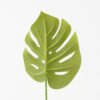 Artificial Plant 19*59CM Single monstera leaf green fake leaf GS-06021003 Leaves&Sprays&Foliages YeahFlower is one of Chinese leading OEM manufacturers and exporters , supplying the silk flowers, wholesale artificial trees