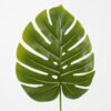 Artificial Plant 26*74CM Single monstera leaf green fake leaf GS-06021004 Leaves&Sprays&Foliages YeahFlower is one of Chinese leading OEM manufacturers and exporters , supplying the silk flowers, wholesale artificial trees