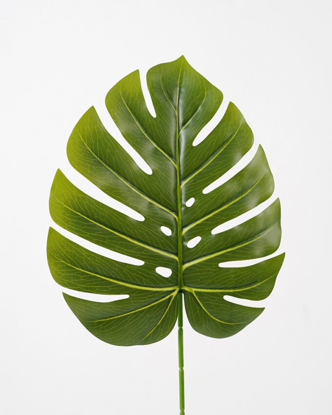 Artificial Plant 26*74CM Single monstera leaf green fake leaf GS-06021004 Leaves&Sprays&Foliages YeahFlower is one of Chinese leading OEM manufacturers and exporters , supplying the silk flowers, wholesale artificial trees