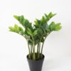 Artificial Plant 53*53*51CM Zamioculcas tree in the PP pot green fake leaf GS-30419014 Potted Flowers&Plants YeahFlower is one of Chinese leading OEM manufacturers and exporters , supplying the silk flowers, wholesale artificial trees