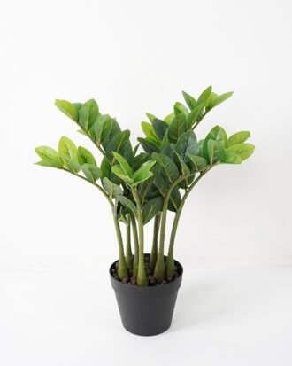 Artificial Plant 53*53*51CM Zamioculcas tree in the PP pot green fake leaf GS-30419014 Potted Flowers&Plants YeahFlower is one of Chinese leading OEM manufacturers and exporters , supplying the silk flowers, wholesale artificial trees