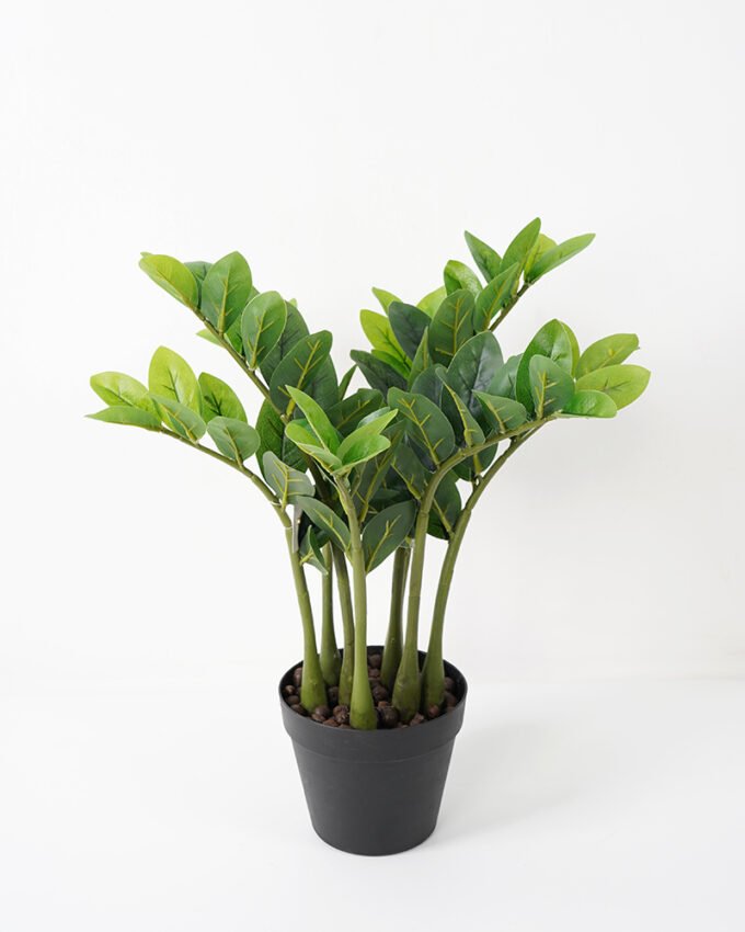 Artificial Plant 53*53*51CM Zamioculcas tree in the PP pot green fake leaf GS-30419014 Potted Flowers&Plants YeahFlower is one of Chinese leading OEM manufacturers and exporters , supplying the silk flowers, wholesale artificial trees