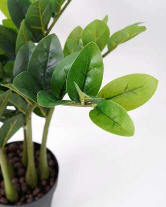 Artificial Plant 53*53*51CM Zamioculcas tree in the PP pot green fake leaf GS-30419014 Potted Flowers&Plants YeahFlower is one of Chinese leading OEM manufacturers and exporters , supplying the silk flowers, wholesale artificial trees