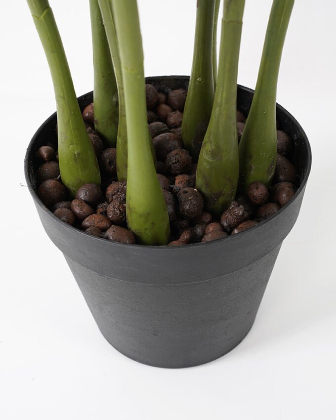 Artificial Plant 53*53*51CM Zamioculcas tree in the PP pot green fake leaf GS-30419014 Potted Flowers&Plants YeahFlower is one of Chinese leading OEM manufacturers and exporters , supplying the silk flowers, wholesale artificial trees