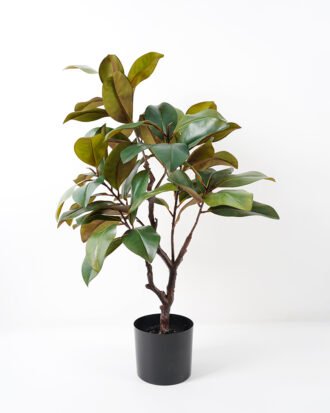 Artificial Tree 63*60*90CM Magnolia tree in pp pot/lvs53 fake trees GS-64821003 Tree&Plant YeahFlower is one of Chinese leading OEM manufacturers and exporters , supplying the silk flowers, wholesale artificial trees
