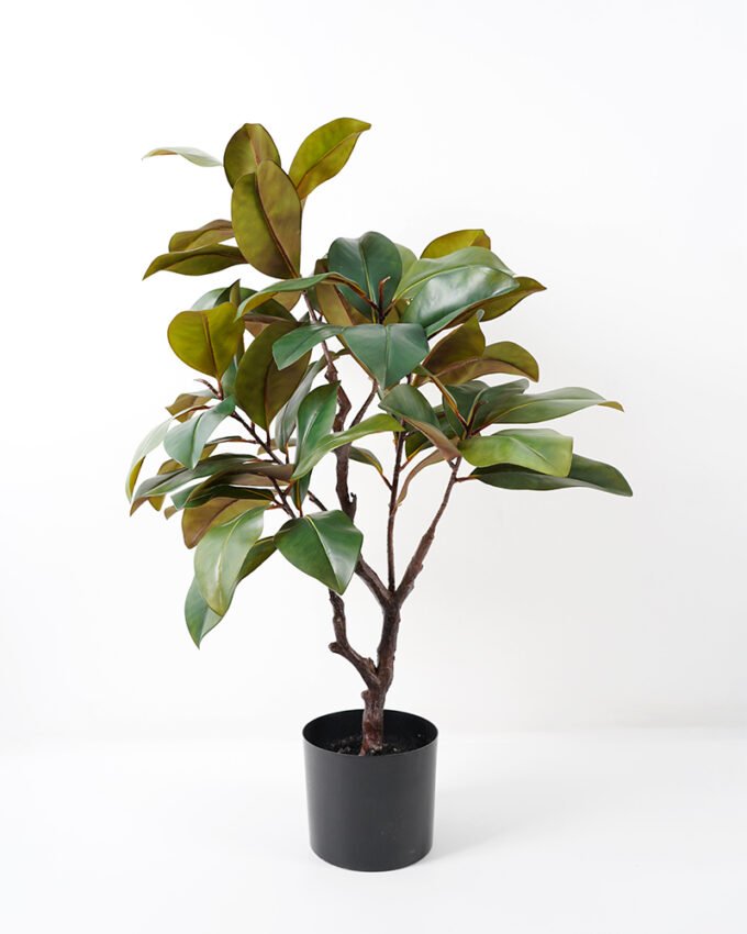 Artificial Tree Magnolia tree in pp pot lvs53 fake trees GS-64821003_3 Artificial Tree 63*60*90CM Magnolia tree in pp pot/lvs53 fake trees GS-64821003 Tree&Plant YeahFlower is one of Chinese leading OEM manufacturers and exporters , supplying the silk flowers, wholesale artificial trees