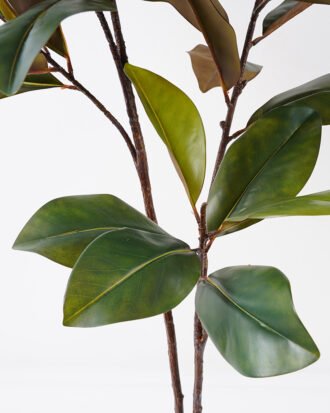 Artificial Tree 61*38*124cm Magnolia tree in pp pot/lvs55 Faux trees GS-64821002 Tree&Plant YeahFlower is one of Chinese leading OEM manufacturers and exporters , supplying the silk flowers, wholesale artificial trees