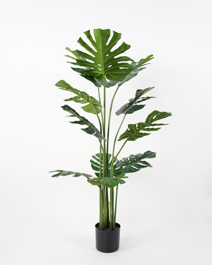 Artificial Tree 66*66*120CM Monstera in pp pot/lvs11 Faux trees GS-43421012 Tree&Plant YeahFlower is one of Chinese leading OEM manufacturers and exporters , supplying the silk flowers, wholesale artificial trees