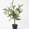 Artificial Tree 35*32*45cm Olive Tree Real tree trunks GS-63321027 Tree&Plant YeahFlower is one of Chinese leading OEM manufacturers and exporters , supplying the silk flowers, wholesale artificial trees