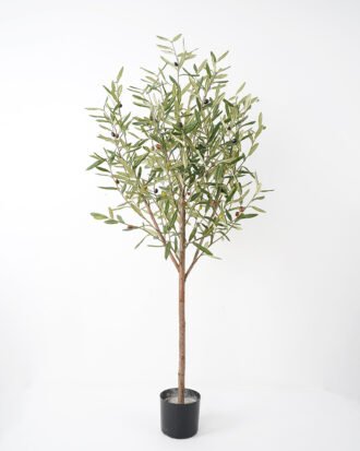 Artificial Tree 85*80*150CM Olive Tree Real tree trunks GS-63321030 Tree&Plant YeahFlower is one of Chinese leading OEM manufacturers and exporters , supplying the silk flowers, wholesale artificial trees Artificial Tree 85*80*150CM Olive Tree Real tree trunks GS-63321030 Tree&Plant YeahFlower is one of Chinese leading OEM manufacturers and exporters , supplying the silk flowers, wholesale artificial trees